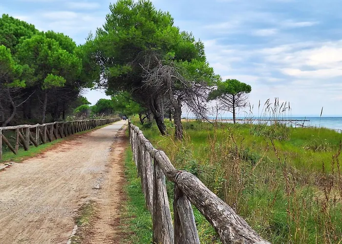 Wonderful Apartment 300 Meters From The Beach